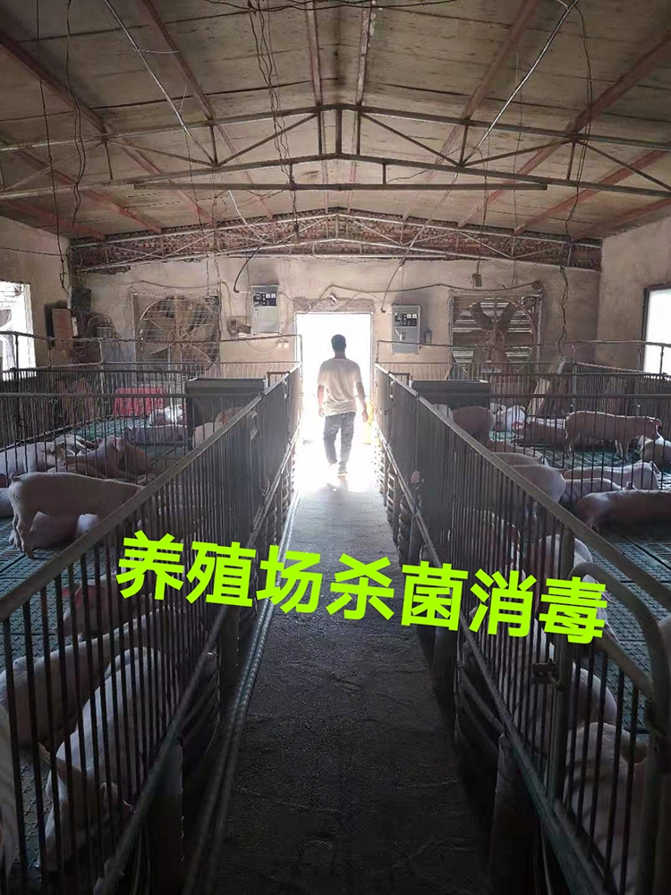 養(yǎng)殖場殺菌消毒 養(yǎng)殖場殺菌消毒